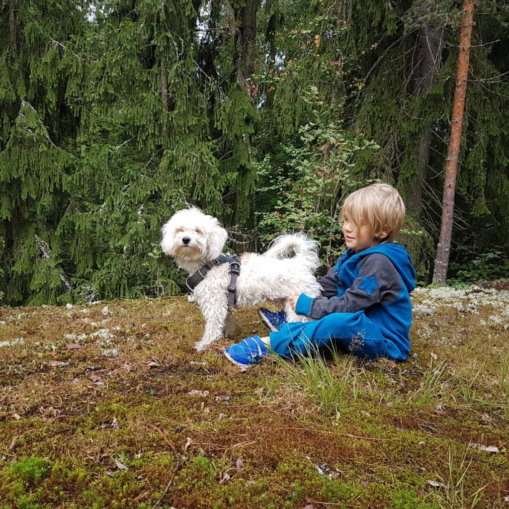 koira ja poika