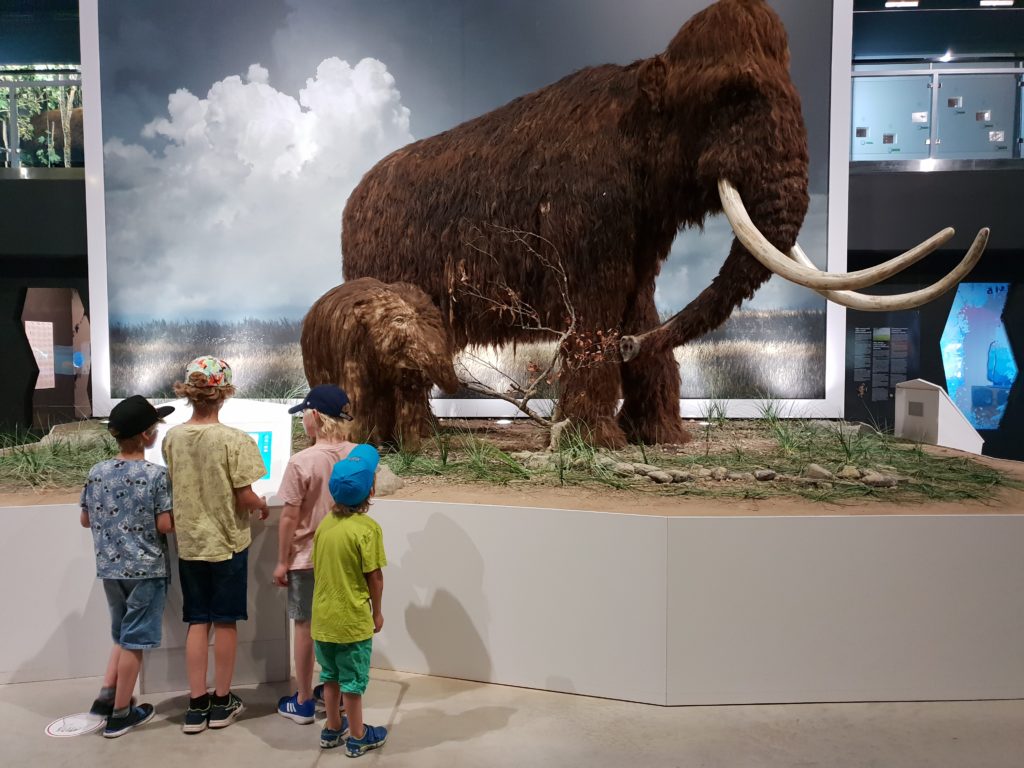 Ice Age Centre
