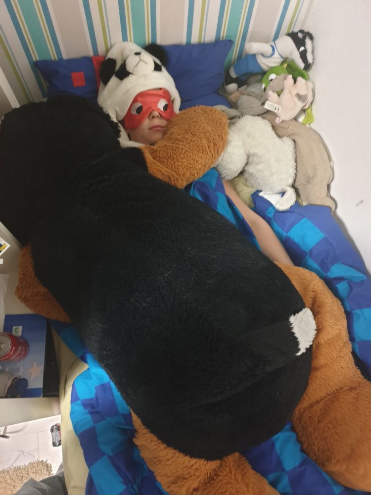 Pehmot ja poika