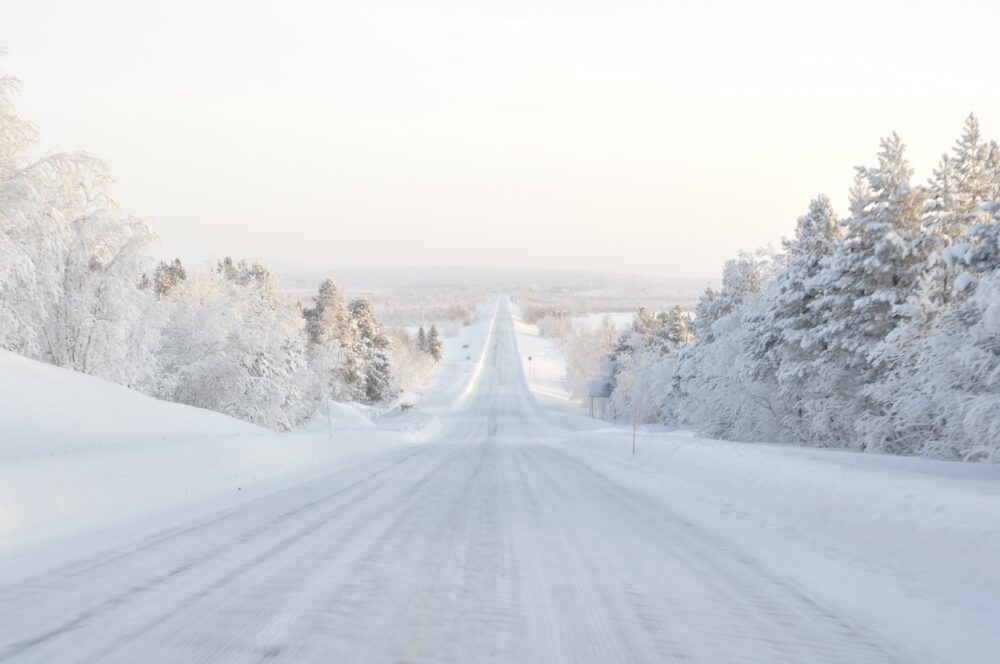 lappi kutsuu