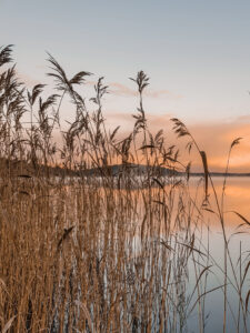 Read more about the article Vinkki helppoon kuvienkäsittelyyn!