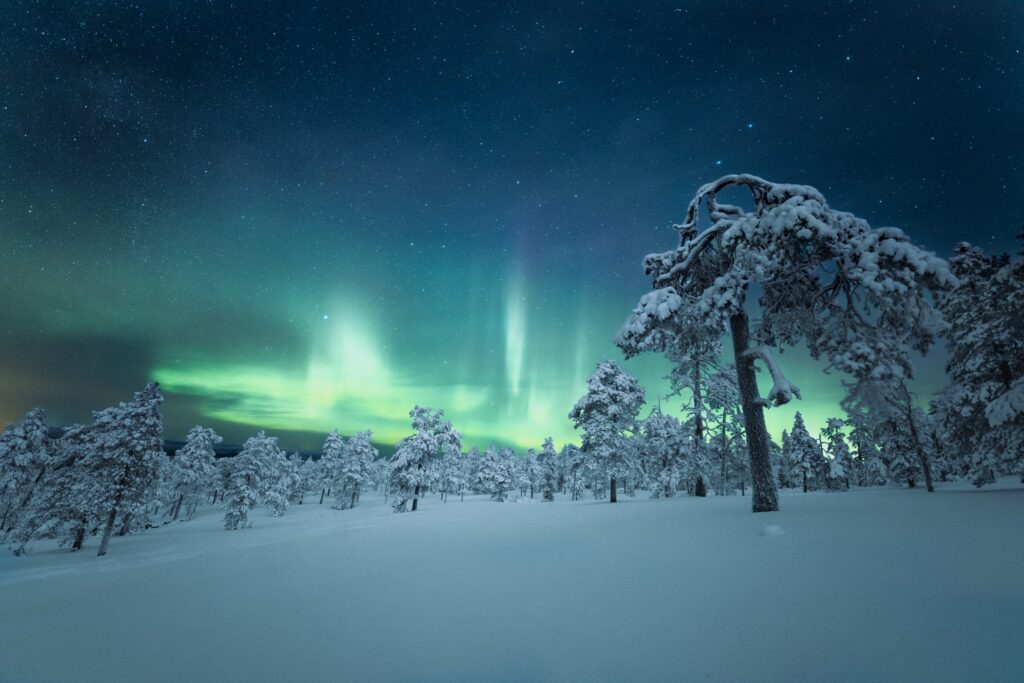 Lappi