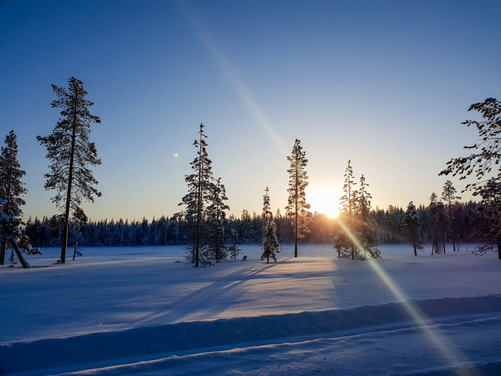 Lappi Ylläs