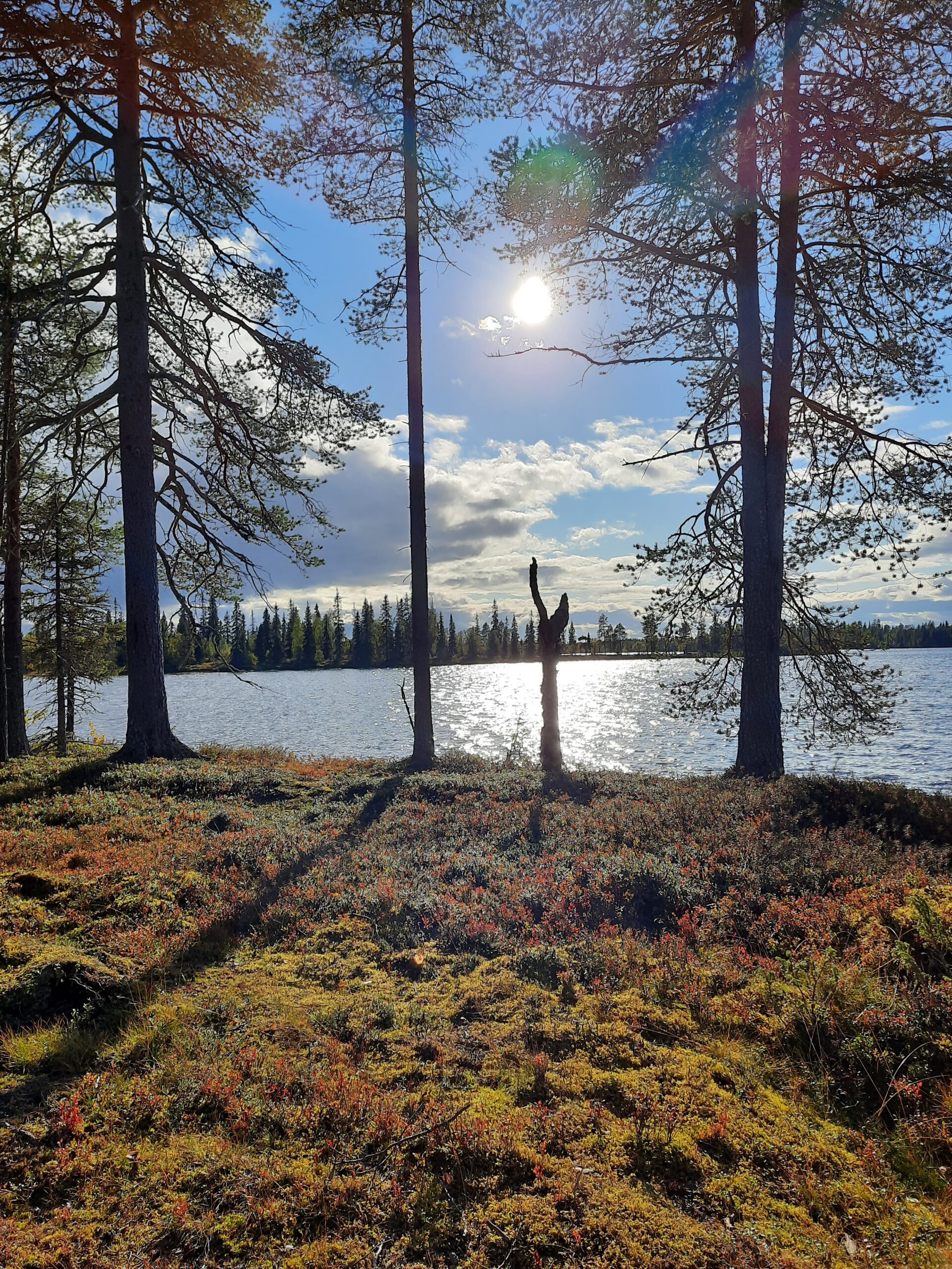 OPERAATIO: erämökki Lapissa!