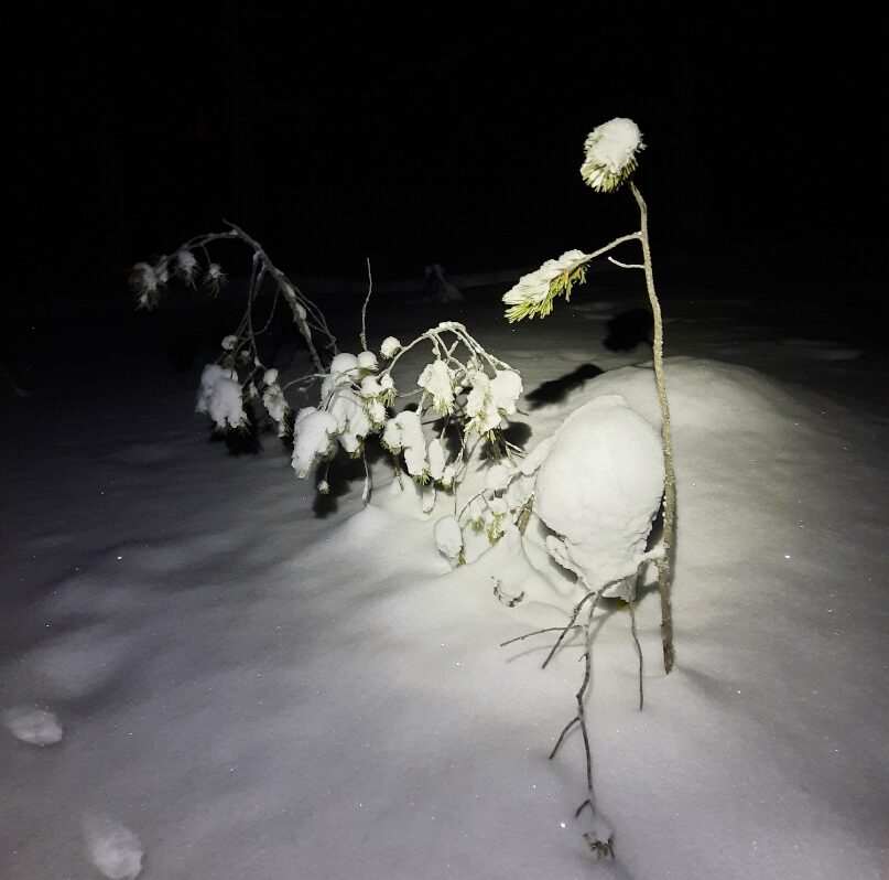 Kriisi on merkki elämänmuutoksen tarpeesta!