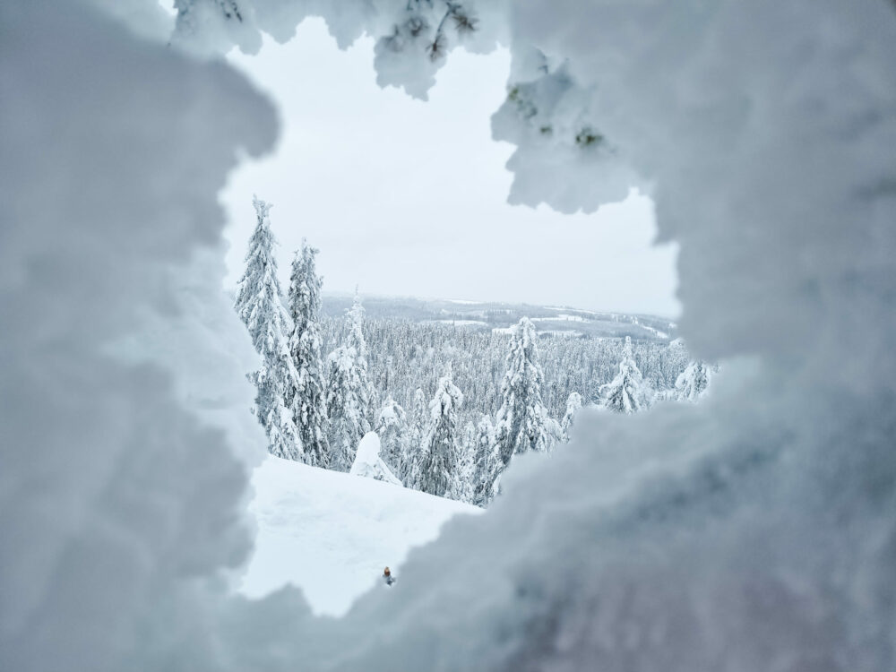 You are currently viewing Minä lähden Pohjois-Karjalaan -aktiiviloma talvella