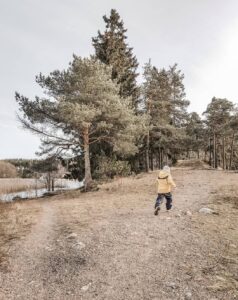 Read more about the article Viisi vinkkiä metsäretkelle
