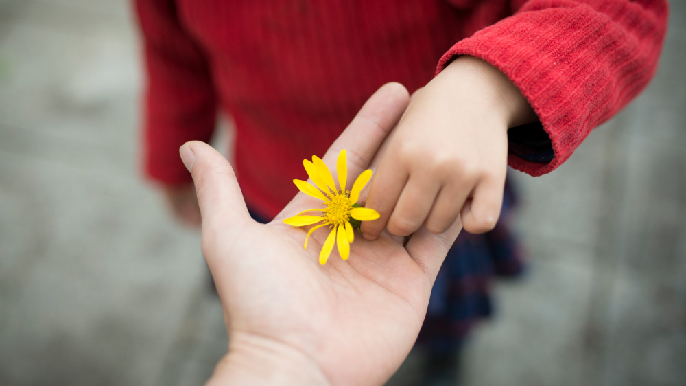 Lapsi laittaa keltaisen kukan aikuisen kädelle