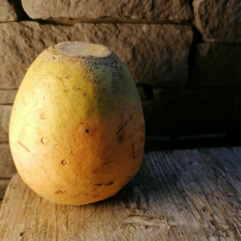 Lanttu lautasella: marokkolainen raastesalaatti