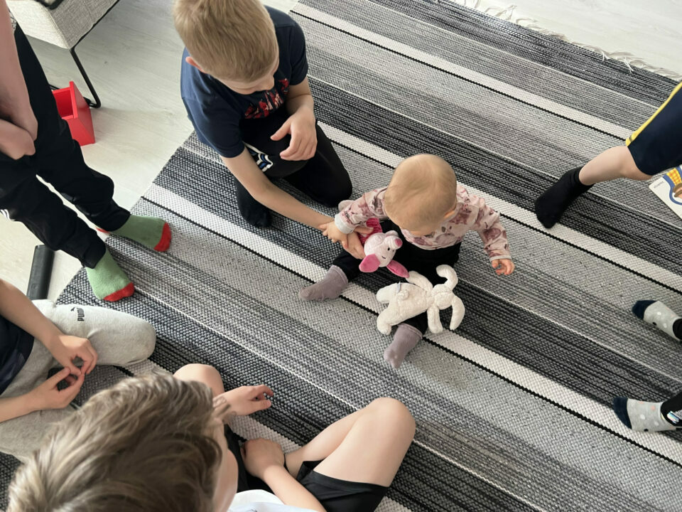 Pojat, miksi kiusaatte ja tuotatte vain harmin?