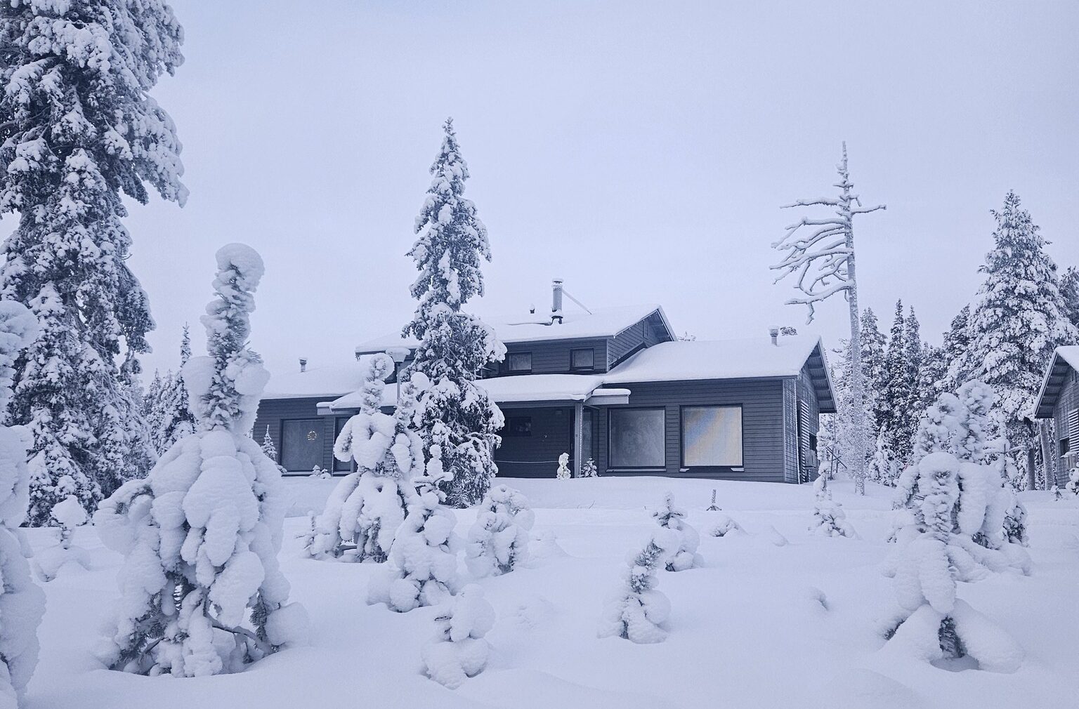 You are currently viewing Rukalle koko perheen kanssa – nappaa ALE majoituksesta