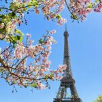 Pariisin kevät -turismia vähemmän kuin kesällä